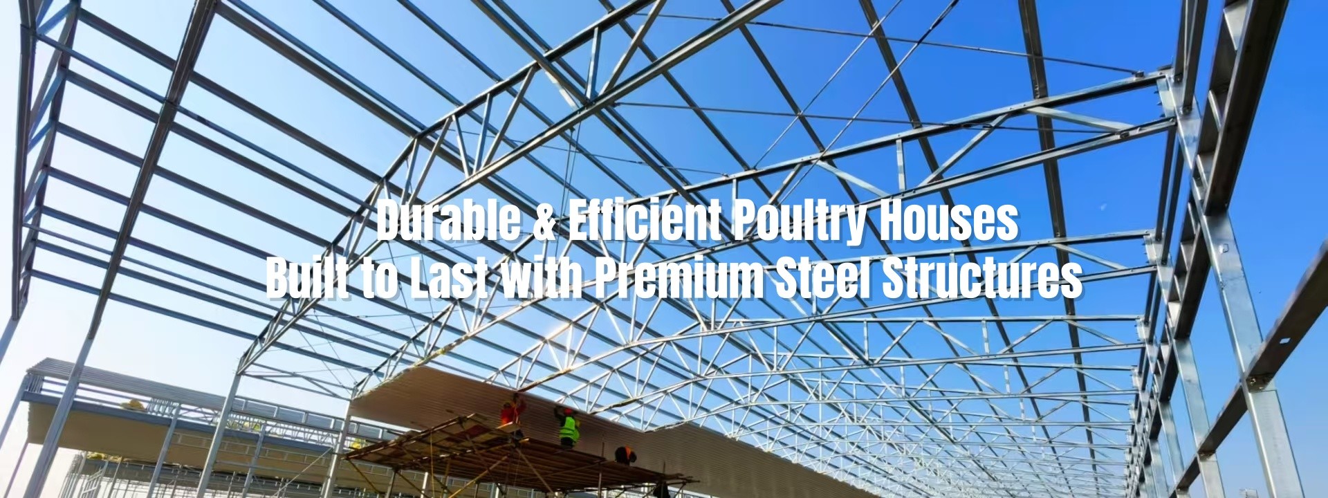 quality Steel Poultry House factory