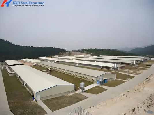Prefab Steel Structure Chicken Building Shed Broiler Fatten Poultry Farm House