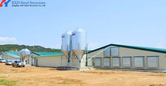 Double Light Steel Structure Chicken House With Fully Automatic Equipment
