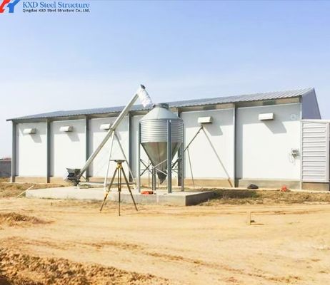 Broilerschuur Staalstructuur Prefab staal kippenhok Installatie ter plaatse