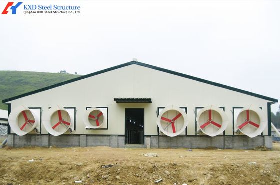 Steel Structure Poultry Shed Agricultural Farm Broiler Chicken Farm Environment Control System