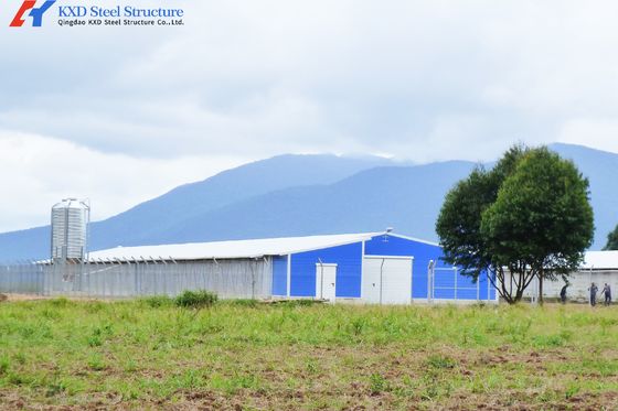 Automatic Steel Poultry House Prefab Broiler Chicken Houses Steel Structure