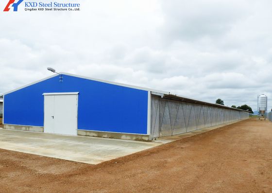 H-sectie Staal pluimveehuis Kippenboerderijhuisgebouw
