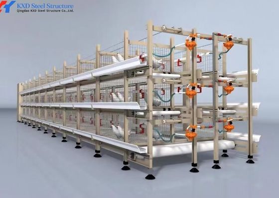 Easy Install Broiler Chicken Cage Automatic Chicken Feeding System For Poultry