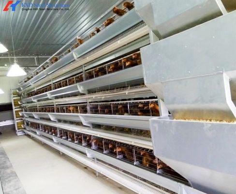 Easy Operate Automatic Poultry Farm Equipment A Type Laying Hen Cages