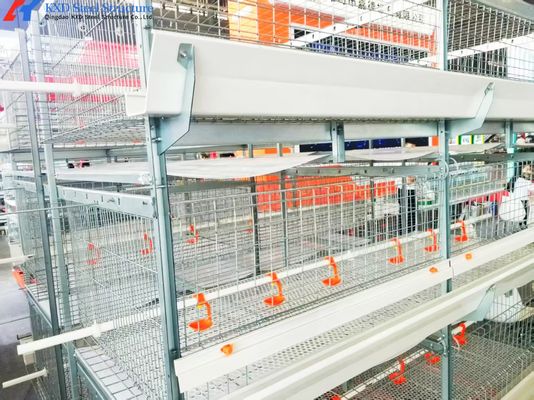 Animal Feeding H Type Automatic Chicken Cage , Hen Battery Cages For Broilers