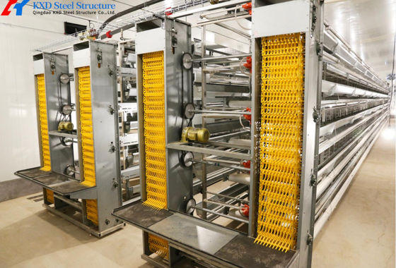 Anti Corrosion Automatic Layer Battery Chicken Cages For Africa Agricultural Poultry Farming
