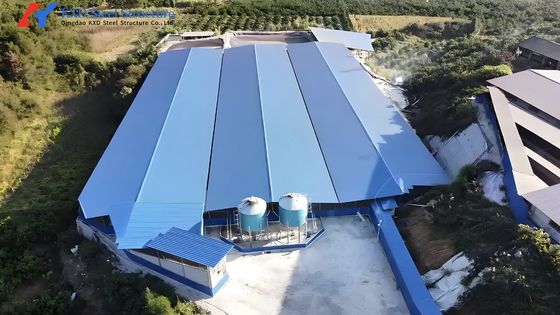 Steel Structure Piggery Farm House Easy Install With Feeding System