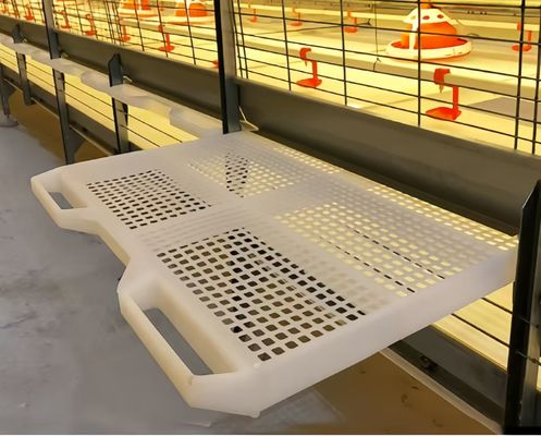 Anti Rust Broiler Pan Feeding System Automatic Plastic Slat Floor For Poultry
