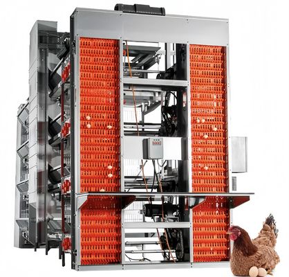 Automatic Layer Battery Chicken Cages 4 Tiers 5 Tiers Agricultural Poultry Farming Cage