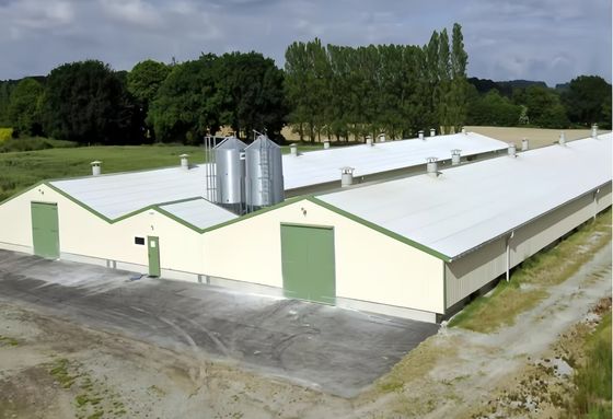 Duurzaam stalen pluimveehuis Automatisch voedingssysteem Voedingsbak
