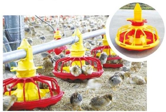 Automatic Feeding System For Broilers And Layers