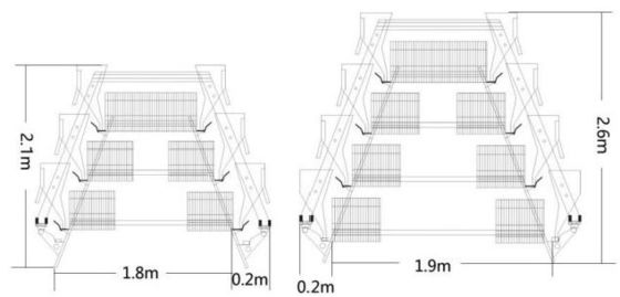 A Type Layer Rearing Broiler Chicken Cage System Fully Automated
